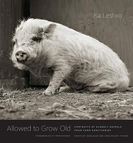 Product Cover Allowed to Grow Old: Portraits of Elderly Animals from Farm Sanctuaries