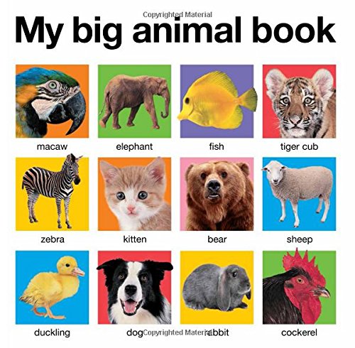 Product Cover My Big Animal Book (My Big Board Books)