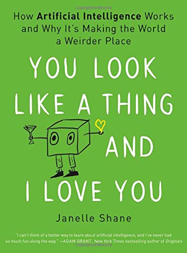 Product Cover You Look Like a Thing and I Love You: How Artificial Intelligence Works and Why It's Making the World a Weirder Place