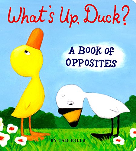 Product Cover What's Up, Duck?: A Book of Opposites (Duck & Goose)