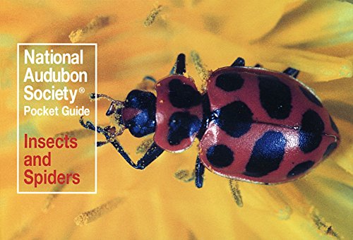 Product Cover National Audubon Society Pocket Guide: Insects and Spiders (National Audubon Society Pocket Guides)