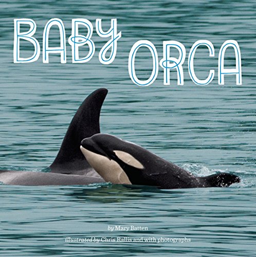 Product Cover Baby Orca