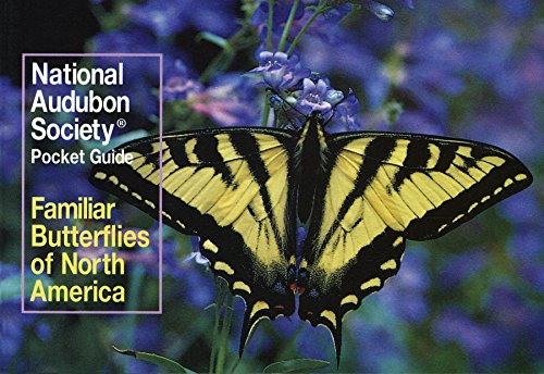 Product Cover National Audubon Society Pocket Guide: Familiar Butterflies of North America (National Audubon Society Pocket Guides)