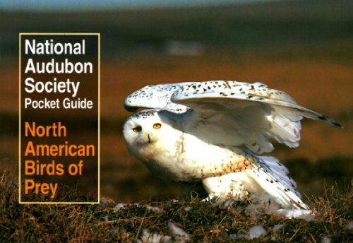Product Cover National Audubon Society Pocket Guide to North American Birds of Prey (National Audubon Society Pocket Guides)