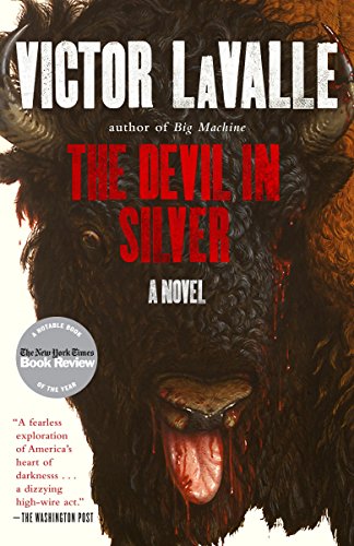 Product Cover The Devil in Silver: A Novel