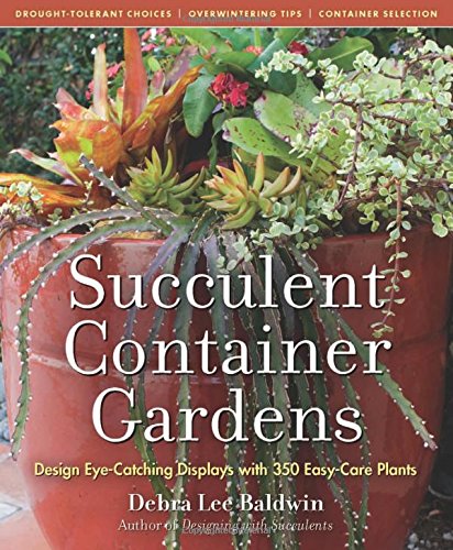 Product Cover Succulent Container Gardens: Design Eye-Catching Displays with 350 Easy-Care Plants