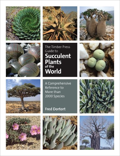 Product Cover The Timber Press Guide to Succulent Plants of the World: A Comprehensive Reference to More than 2000 Species