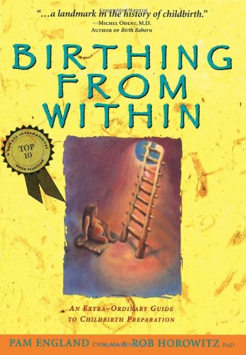 Product Cover Birthing from Within: An Extra-Ordinary Guide to Childbirth Preparation