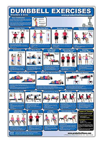Product Cover Laminated Dumbbell Exercise Poster/Chart - Shoulders and Arms - Created by Fitness Experts with University Degrees in Exercise Physiology etc. - ... - Fitness Poster - Dumbbell Workout Chart