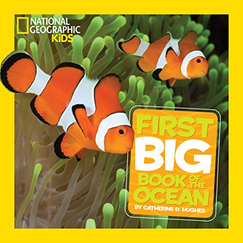 Product Cover National Geographic Little Kids First Big Book of the Ocean (National Geographic Little Kids First Big Books)