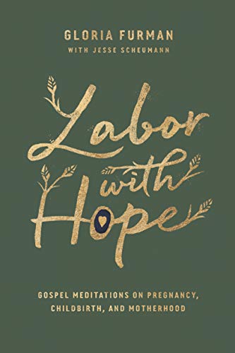 Product Cover Labor with Hope: Gospel Meditations on Pregnancy, Childbirth, and Motherhood