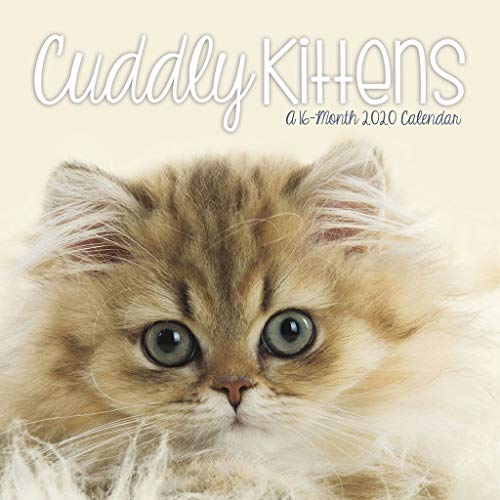 Product Cover Cuddly Kittens 2020 Mini Calendar
