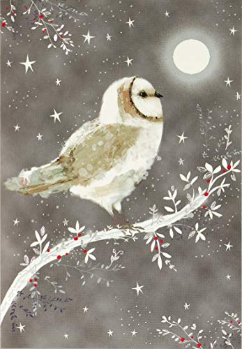 Product Cover Starry Night Owl Small Boxed Holiday Cards (Christmas Cards, Greeting Cards)