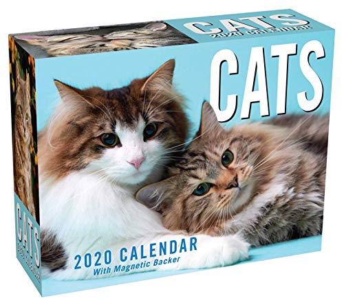 Product Cover Cats 2020 Mini Day-to-Day Calendar