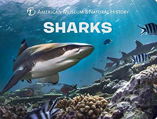 Product Cover Sharks (Science for Toddlers)