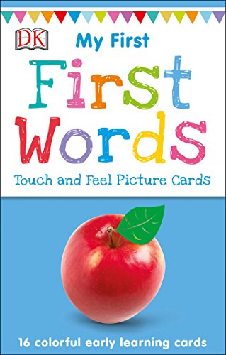 Product Cover My First Touch and Feel Picture Cards: First Words (My 1st T&F Picture Cards)