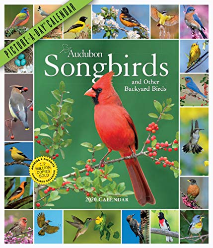Product Cover Audubon Songbirds and Other Backyard Birds Picture-A-Day Wall Calendar 2020
