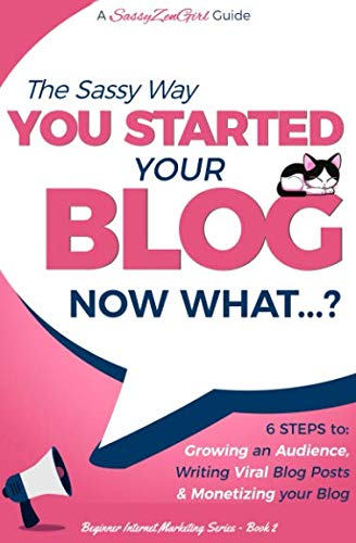 Product Cover You Started Your Blog - Now What...? (Beginner Internet Marketing Series) (Volume 2)