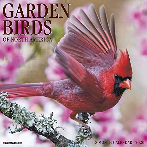 Product Cover Garden Birds 2020 Wall Calendar