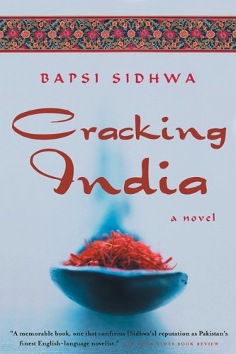 Product Cover Cracking India: A Novel