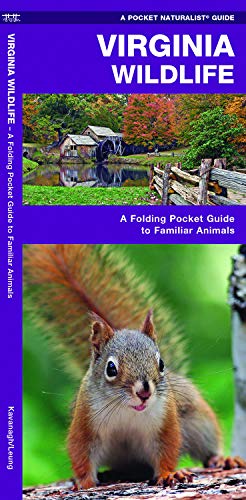 Product Cover Virginia Wildlife: A Folding Pocket Guide to Familiar Animals (Wildlife and Nature Identification)