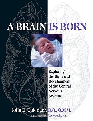 Product Cover A Brain Is Born: Exploring the Birth and Development of the Central Nervous System