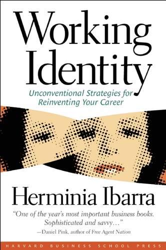 Product Cover Working Identity: Unconventional Strategies for Reinventing Your Career