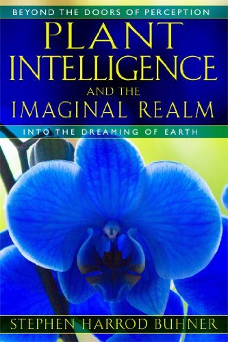 Product Cover Plant Intelligence and the Imaginal Realm: Beyond the Doors of Perception into the Dreaming of Earth