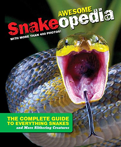 Product Cover Discovery Snakeopedia: The Complete Guide to Everything Snakes--Plus Lizards and More Reptiles