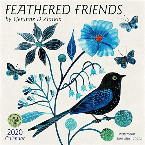 Product Cover Feathered Friends 2020 Wall Calendar: Watercolor Bird Illustrations