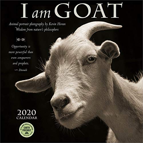 Product Cover I Am Goat 2020 Wall Calendar: Animal Portrait Photography and Wisdom From Nature's Philosophers