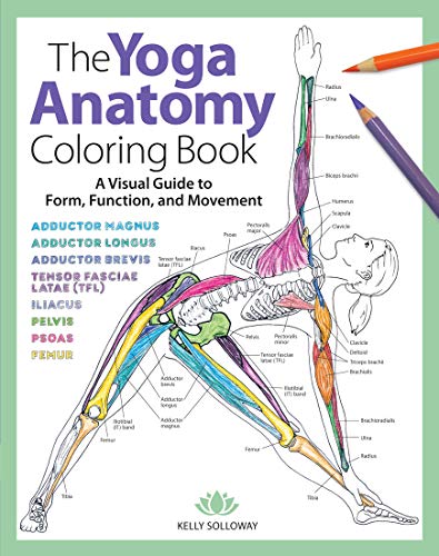 Product Cover The Yoga Anatomy Coloring Book: A Visual Guide to Form, Function, and Movement