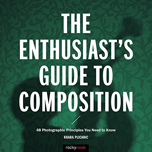 Product Cover The Enthusiast's Guide to Composition: 48 Photographic Principles You Need to Know