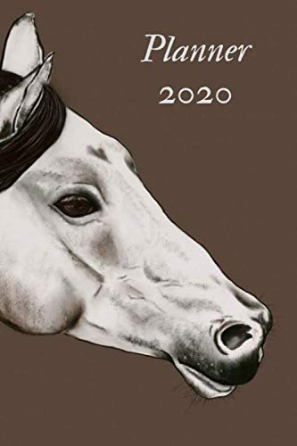 Product Cover Planner 2020: Weekly, daily, planner with horse, organizer, calendar  6''x9'' January-December 2020, New Year, gift for horse lover, woman,  sister, girl, animal lover