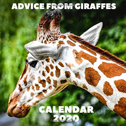 Product Cover Advice From Giraffes Calendar 2020: November 2019 - December 2020 With Giraffe Inspirational Quotes