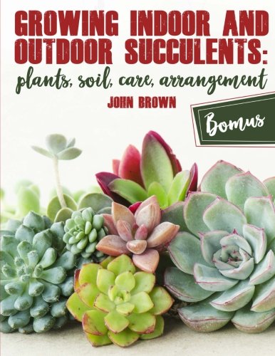 Product Cover Growing Indoor and Outdoor Succulents:: Plants, Soil, Care, Arrangement