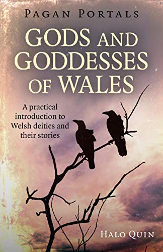 Product Cover Pagan Portals - Gods and Goddesses of Wales: A Practical Introduction To Welsh Deities And Their Stories