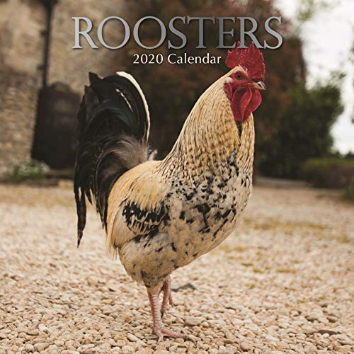 Product Cover 2020 Wall Calendar - Roosters, 12 x 12 Inch Monthly View, 16-Month, Includes 180 Reminder Stickers