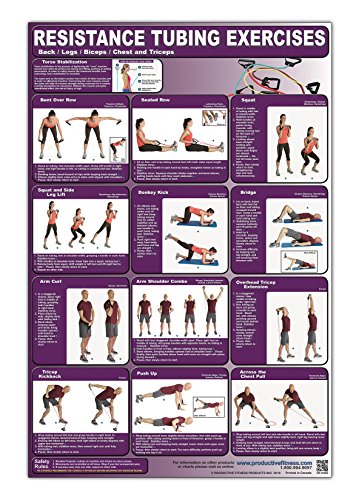 Product Cover Resistance Tubing Exercises Poster/Chart -Back/Legs/Biceps/Chest & Triceps Laminated; - Stretch Tubing Charts - Stretch Band Chart - Exercise Tubing ... Fitness - Group Fitness with Resistance Bands