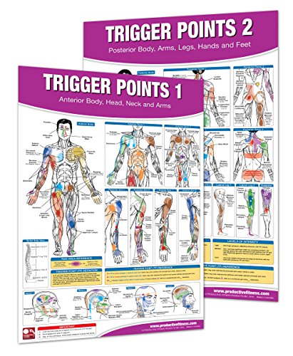 Product Cover Trigger Point Therapy Chart/Poster Set; Acupressure Charts - Myofascial Trigger Points - Massage Therapy Charts - Muscle Pain Relief Posters - ... Neuromuscular Therapy - Physiotherapy Charts