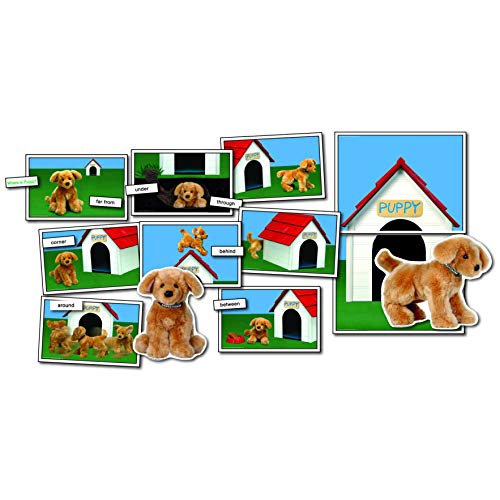 Product Cover Positional/Directional Concepts Learning Cards: Where Is Puppy?