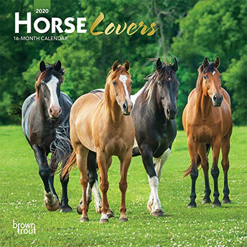 Product Cover Horse Lovers 2020 7 x 7 Inch Monthly Mini Wall Calendar with Foil Stamped Cover, Animals Horses (English, Spanish and French Edition)