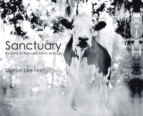 Product Cover Sharon Lee Hart: Sanctuary: Portraits of Rescued Farm Animals