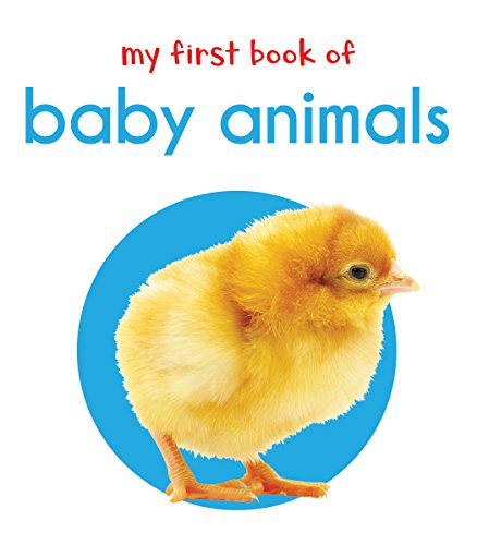 Product Cover My First Book Of Baby Animals : First Board Book