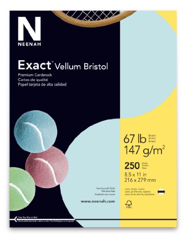 Product Cover Wausau Vellum Bristol Cardstock, 67 lb, 8.5 x 11 Inches, Pastel Blue, 250 Sheets (81328)