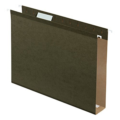 Product Cover Pendaflex Extra Capacity Reinforced Hanging File Folders, 2