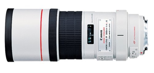 Product Cover Canon EF 300mm f/4L IS USM Telephoto Fixed Lens for Canon SLR Cameras - 2530A004