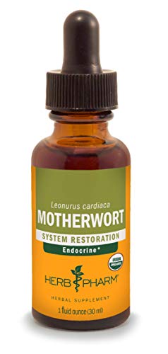 Product Cover Herb Pharm Certified Organic Motherwort Liquid Extract for Endocrine System Support - 1 Ounce