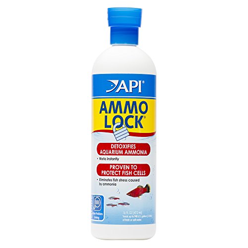 Product Cover API AMMO-LOCK Freshwater and Saltwater Aquarium Ammonia Detoxifier 16-Ounce Bottle
