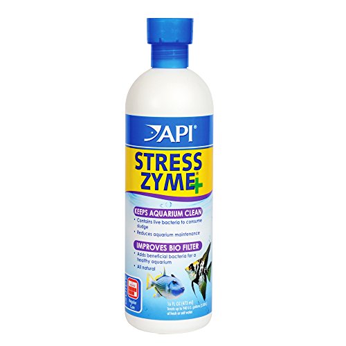 Product Cover API STRESS ZYME Aquarium Bacteria, Consumes Sludge and Keeps Aquarium Clean, 16-Ounce Bottle